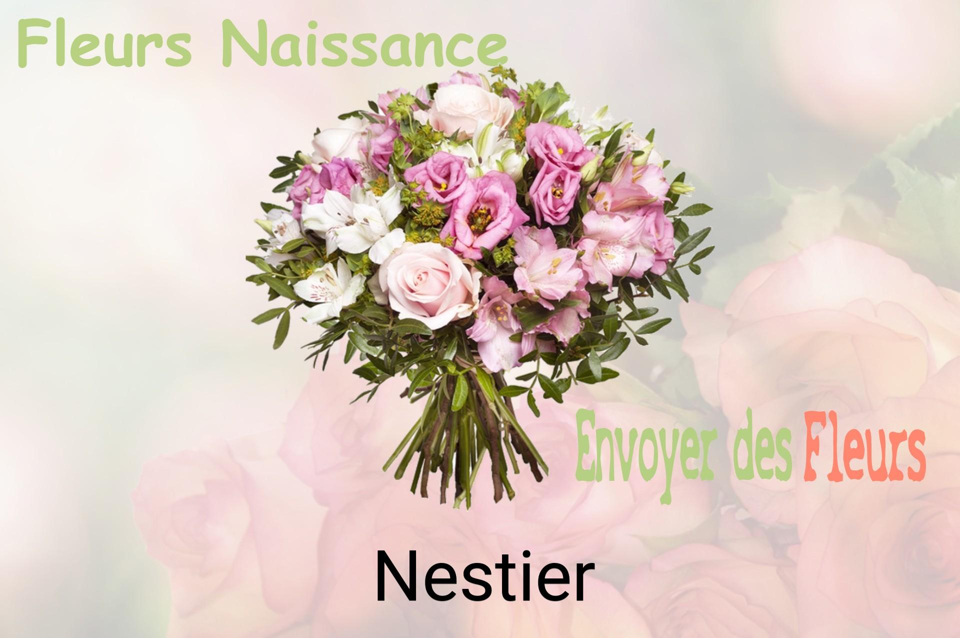 Bouquet de fleurs de naissance livré à Nestier